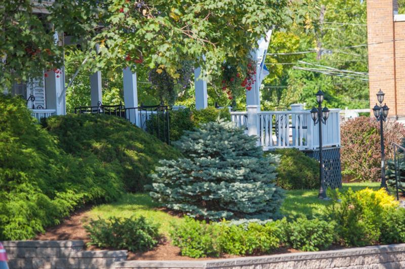 Telegraph House Motel Baddeck Inlet エクステリア 写真